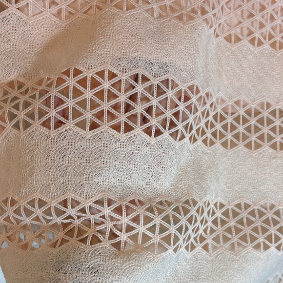 ASTR the Label Blush Pink Lattice Lace Pencil Skirt Medium - Picture 8 of 8